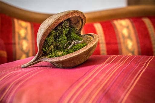 Les alliances au creux d'une noix