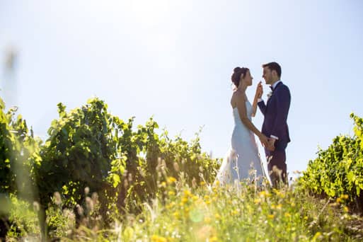 au-milieu-des-vignes Dans les vignes
